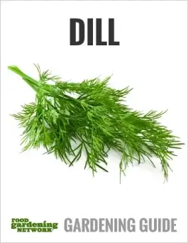 12 Uses for Dill You Grow at Home