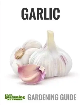 Glorious Garlic—From Garden to Table