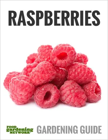 raspberries gardening guide