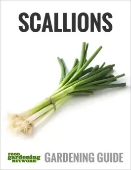 The Super Scrumptious Scallion Guide: All You Need to Know About Growing, Harvesting, Cooking, and Eating Delicious Scallions