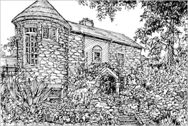 July Gardening Diary