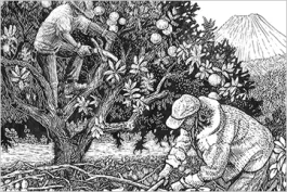 Working Under the Tree of Thorns
