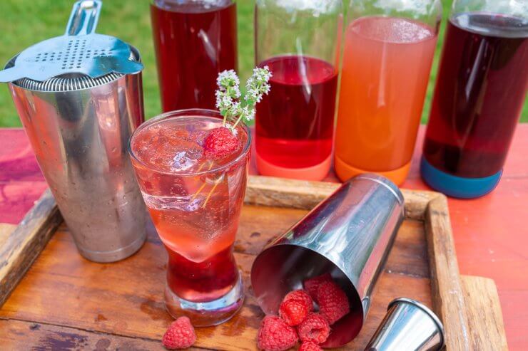 garden-to-glass cocktails - Knockout Peach Berry Fizz