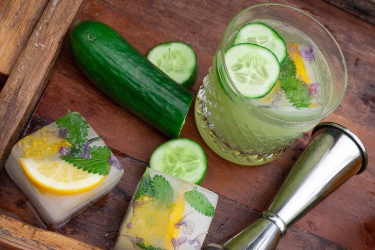 garden-to-glass cocktails - Cucumber Gimlet