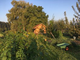 How to Build Hugelkultur Self-Composting Garden Beds