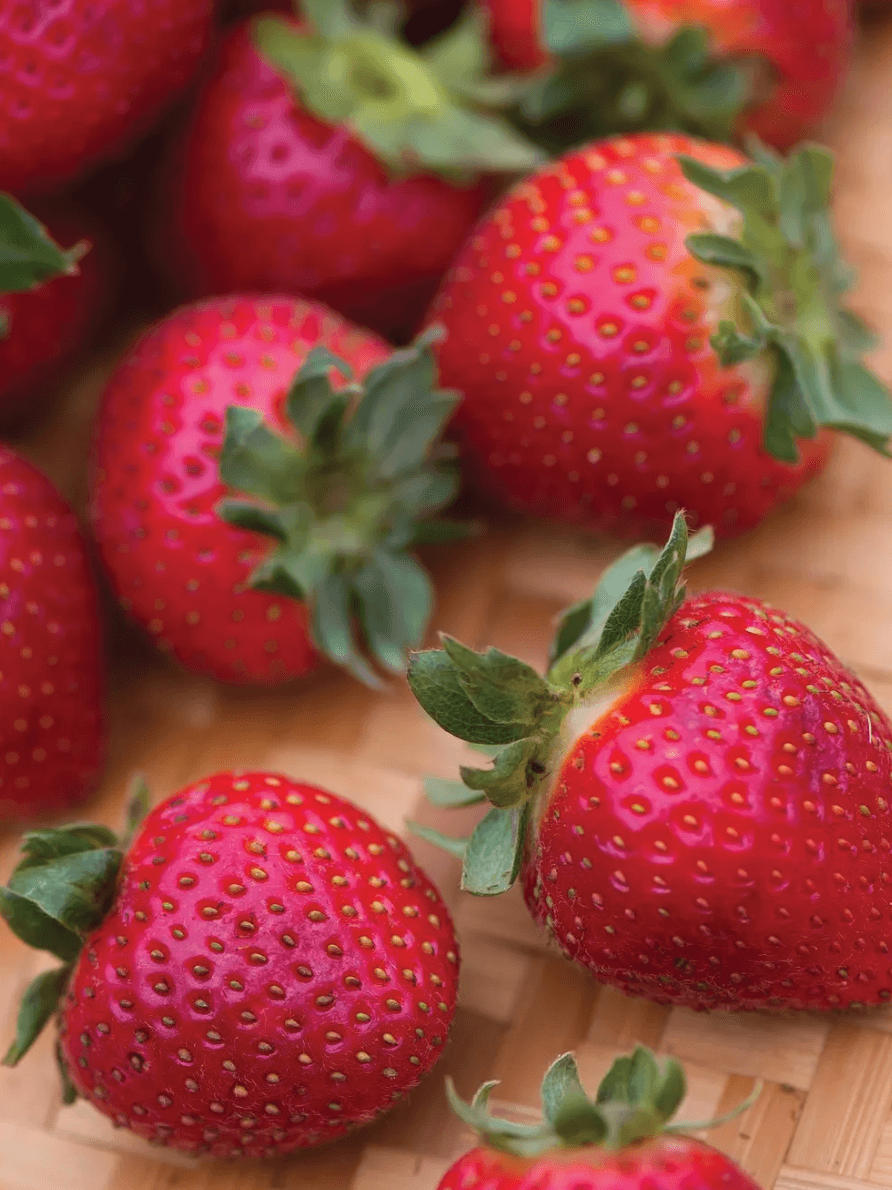 The 10 Best Strawberries To Grow - Food Gardening Network