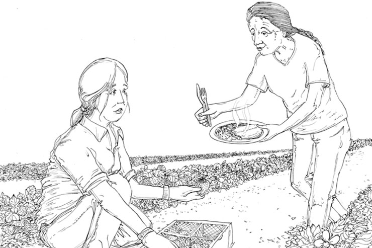 woman giving meal to the woman harvesting strawberries