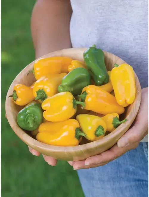 best sweet peppers