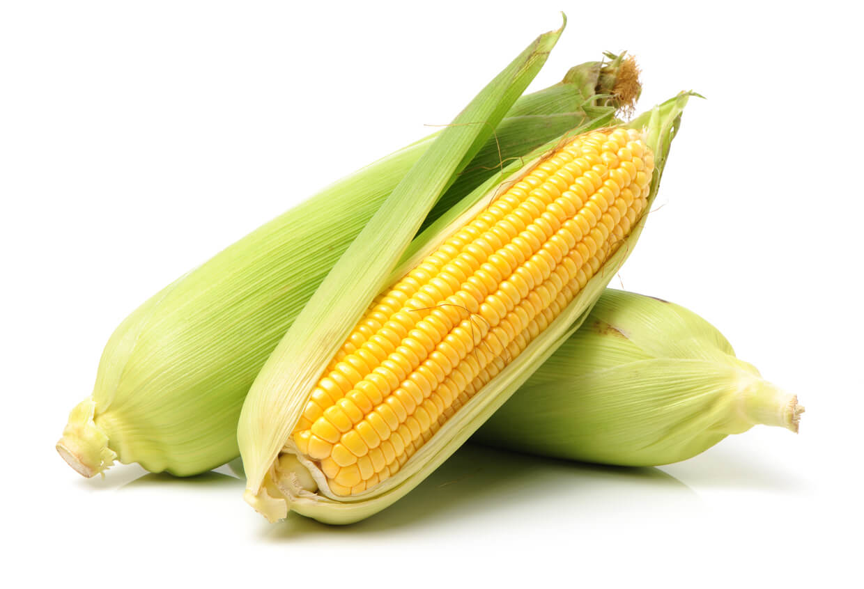 Corn on the cob kernels peeled