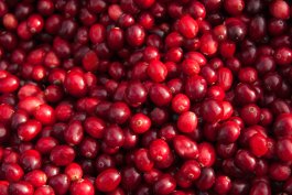 Types of Cranberries