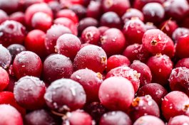 Storing and Preserving Your Cranberries