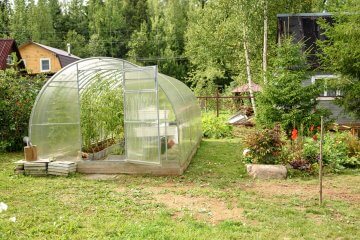 4 Tragic Greenhouse Problems and How to Avoid Them