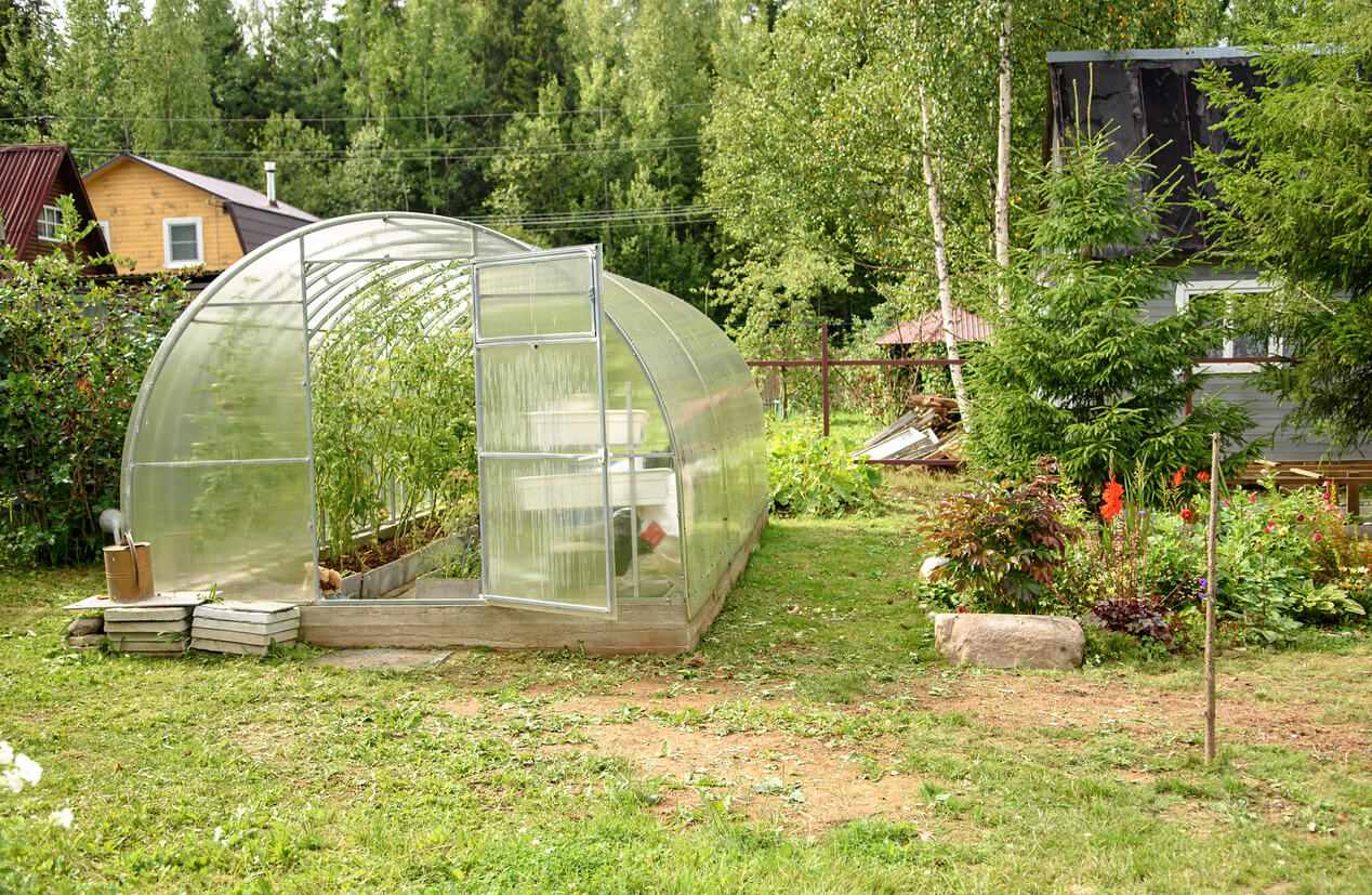 Greenhouse in the backyard with an open door. Growing tomatoes and cucumbers in the summer in your garden.