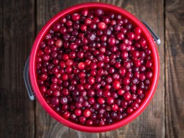 Essential Tools and Equipment for Growing and Enjoying Cranberries