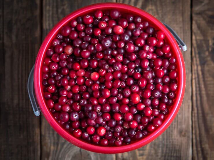Ripe cranberries in a bucket