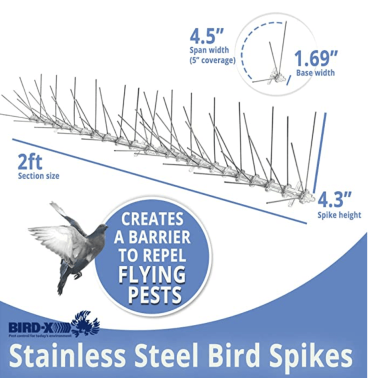 bird spikes