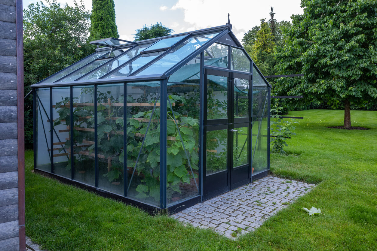 a small greenhouse stands in a garden