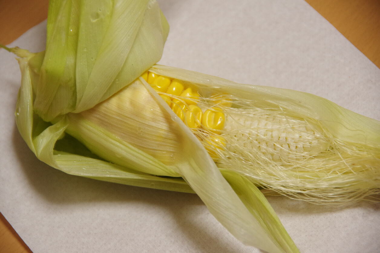 Sterile corn (failed to pollinate)