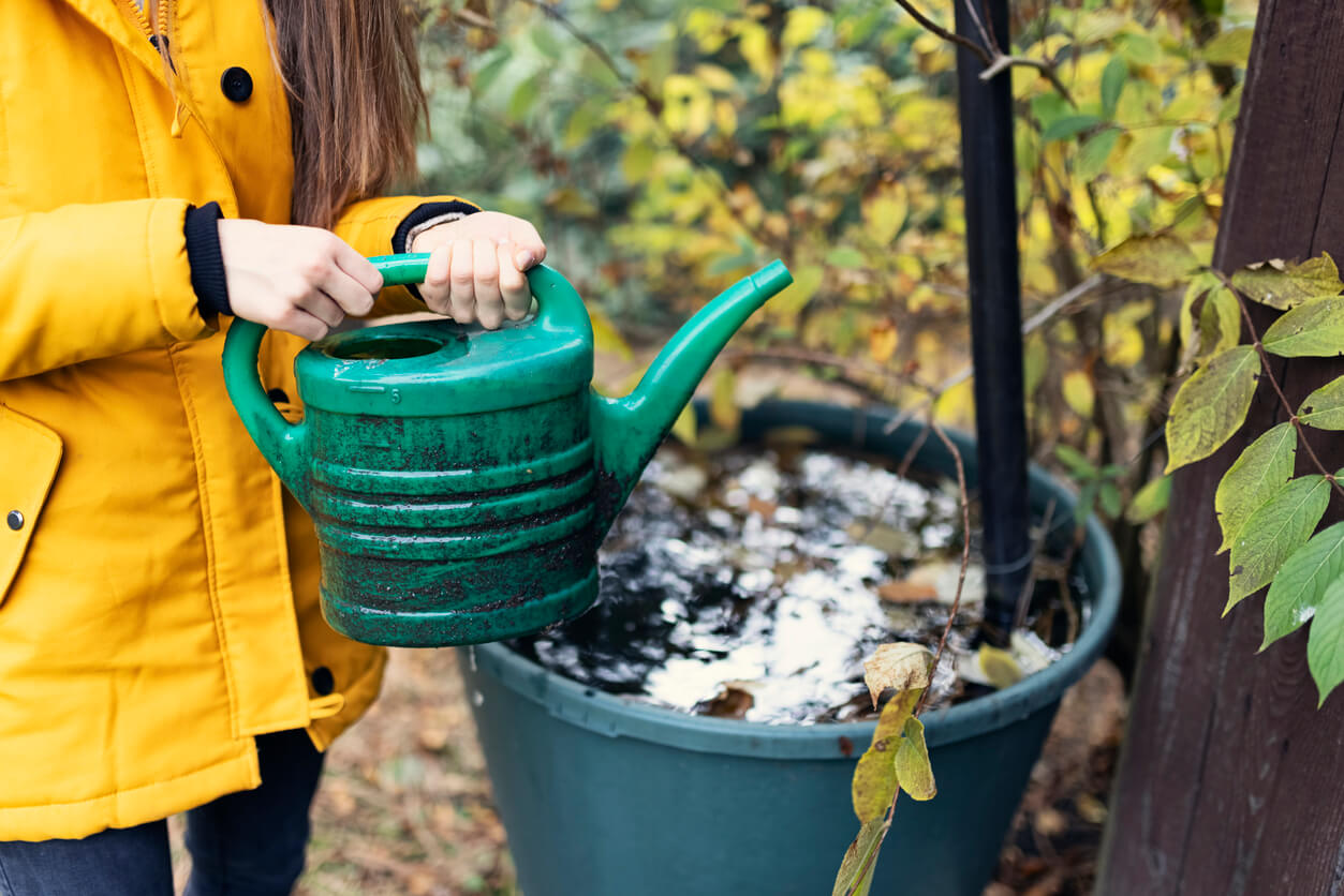 Teenage girl filling the water can from the rainwater tank