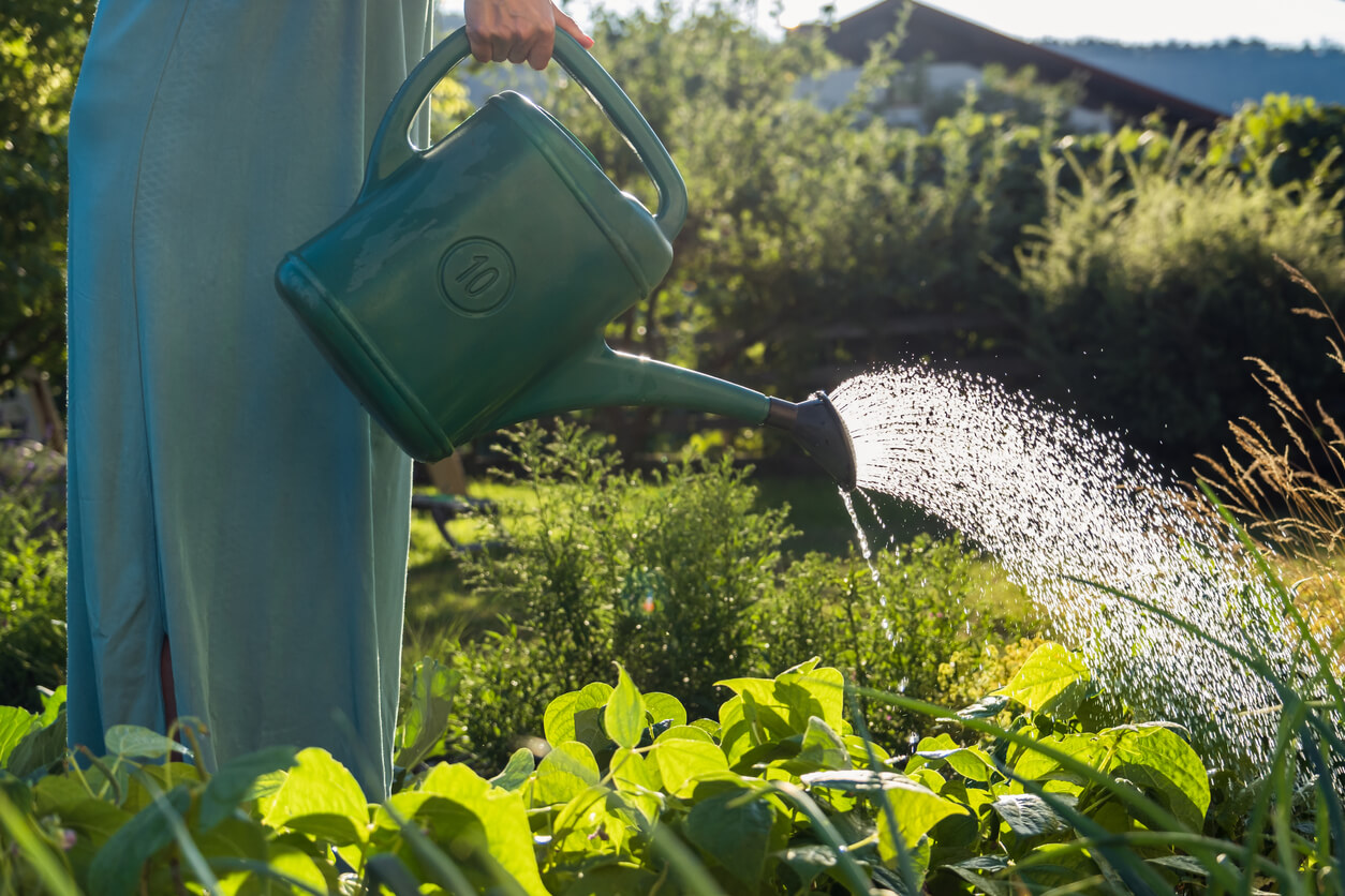 Watering can