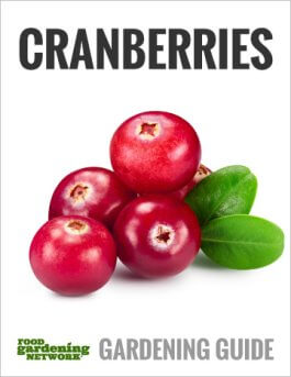 How to Use Cranberries All Year Long
