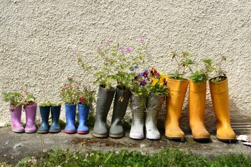The 3 Best Gardening Shoes