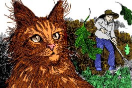 Cats in the Garden