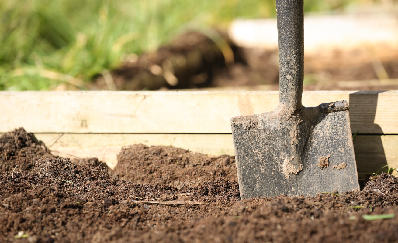 Spring scene spade in an allotment raised bed