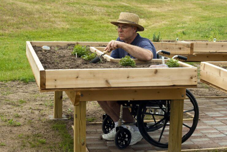 disabled gardener