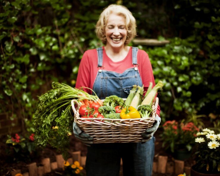 10 Gardening Tools for Seniors That Actually Make a Difference Food Gardening Network