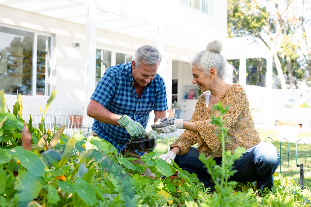 Happy caucasian senior couple wearing gloves gardening together