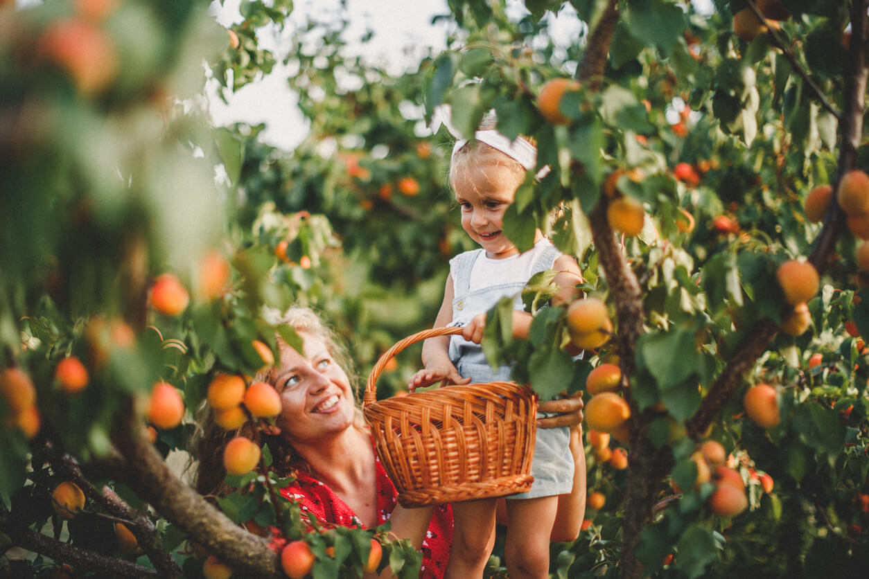 Mother and daughter harvesting peach