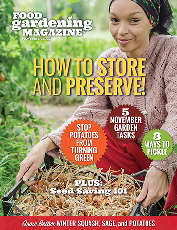 Food Gardening Magazine November 2022