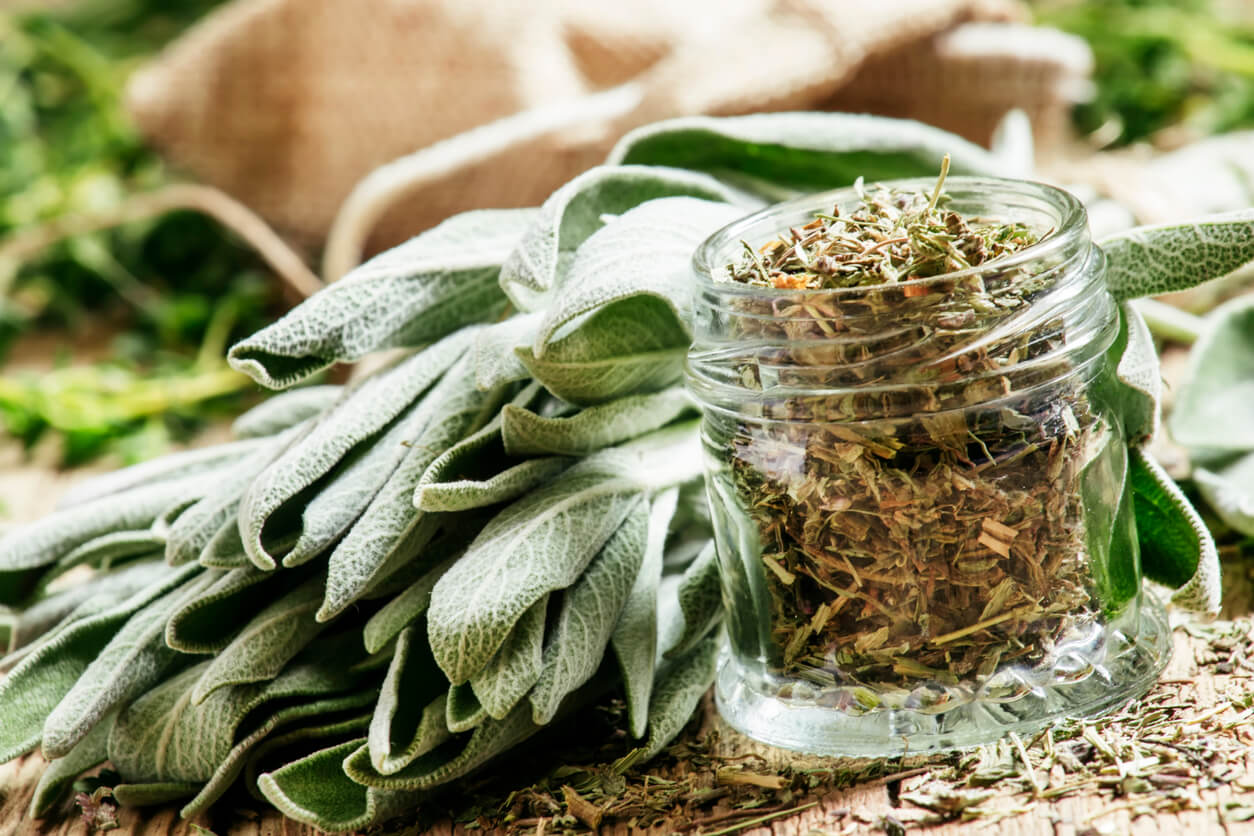 Dried sage in a glass jar, fresh sage