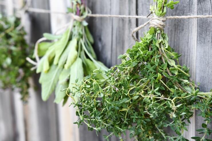 Hanging Bunches of Drying Herbs