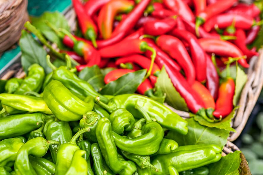 Italian Pepperoncini Food Gardening Network