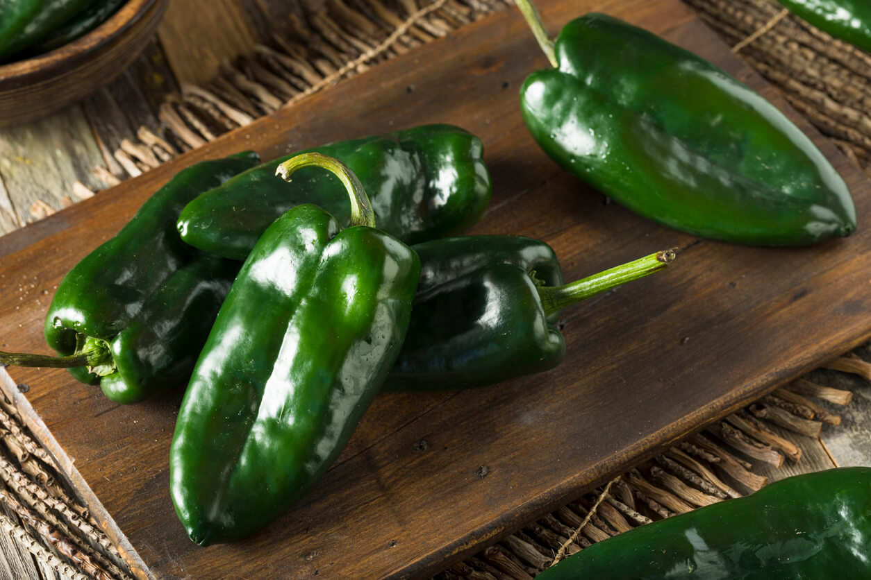 Poblano Peppers 
