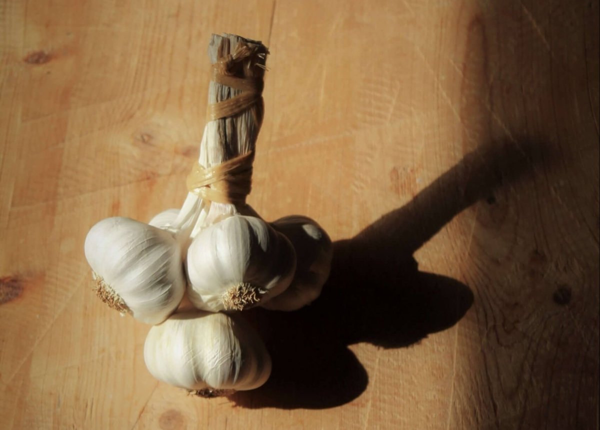 curing garlic