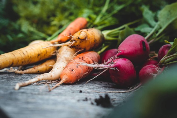 root cellar vegetables