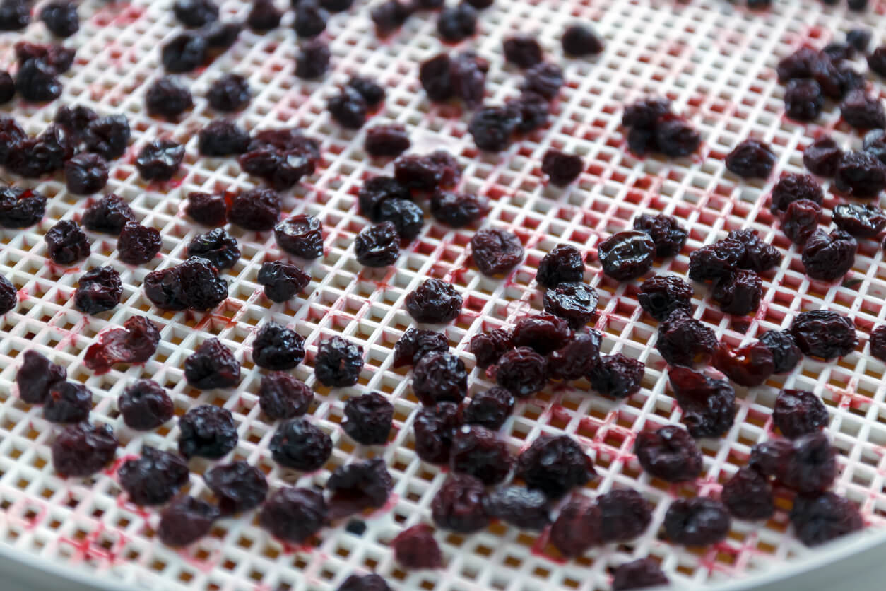 Cherries dried in a dehydrator