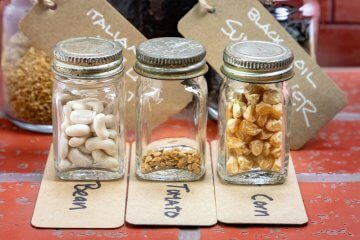 10 Tips for Saving Heirloom Seeds So They Don’t Spoil