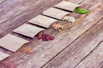 10 Ways to Give Vegetable Seeds as Gifts to Garden Enthusiasts