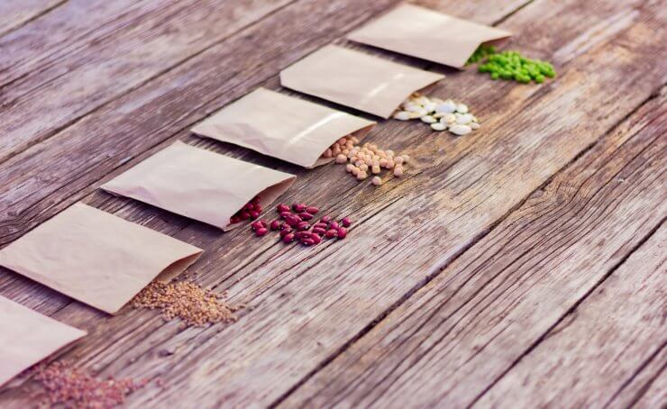 multicolored agricultural seeds in paper packs on a rustic wooden table, selective focus.