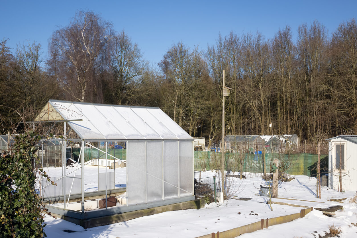 Allotment garden near edge of the forest covered with snow