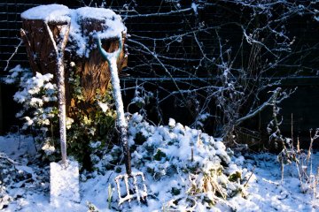 5 Winter Mulching Tips for Cold Zone Perennial Crops