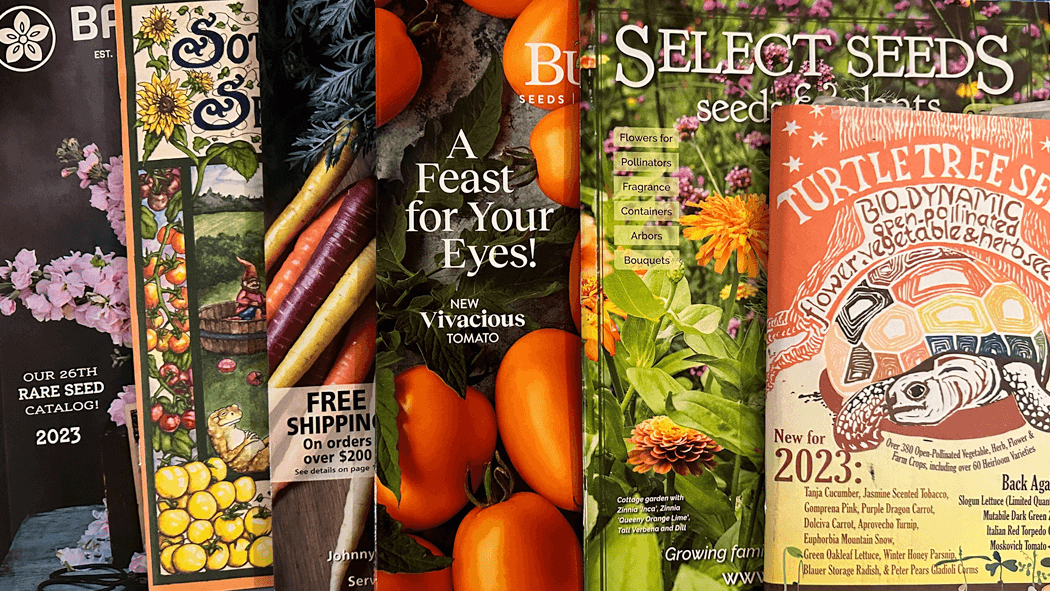 free seed catalogs