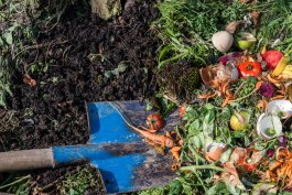 Composting 101: What and How to Compost
