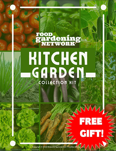Food Gardening Network Kits