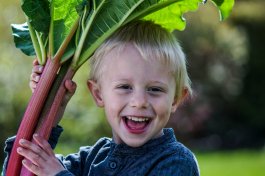 How to Create an Edible Perennial Garden