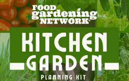 Creating the Perfect Kitchen Garden